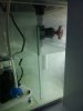 uploadfromtaptalk1355263873310.jpg