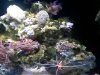 20140502_072813.jpg