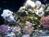 20140502_072819.jpg