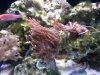 20140502_072931.jpg
