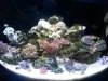 20140502_072907.jpg