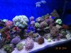 DSC04756.JPG