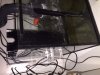 image10.jpeg