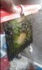 20170508_221441.jpg