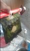 20170508_221514.jpg