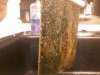 20180824_230830.jpg