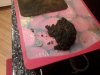 20180824_231539.jpg