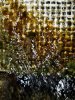 20190117_085719.jpg