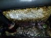 20190117_085647.jpg
