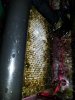 20190117_085643.jpg