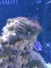 20190115_084601.jpg