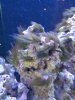 20190115_084604.jpg
