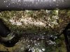 20190123_003330.jpg