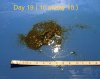 1838F253-70DD-47BD-A1C8-038612800496.jpeg