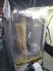 20200413_100840.jpg