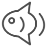greyfish