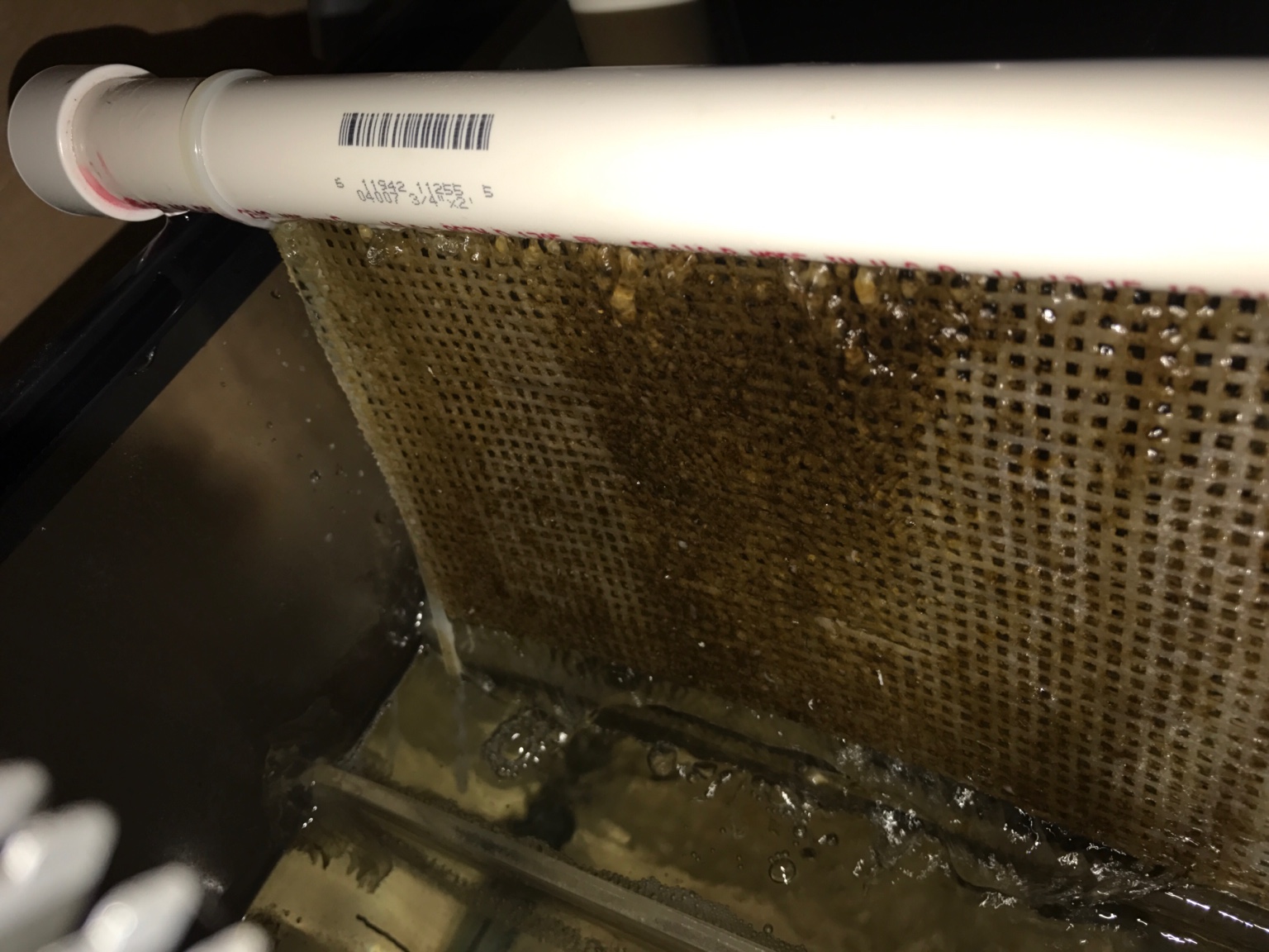 General feedback on first diy scrubber Algae Scrubbing