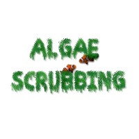 www.algaescrubbing.com